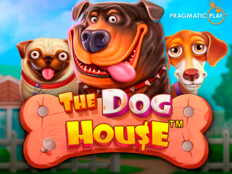 The dog house casino. Parobet kumarhane.49